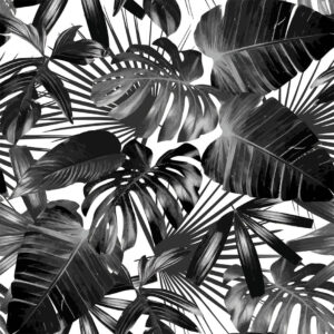 Black & White Tropical Palm Trees
