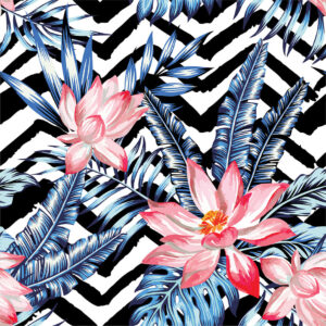 Zebra Roses