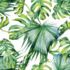 Lush Palms